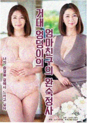 资讯配图，角色关系图与图鉴条目卡片